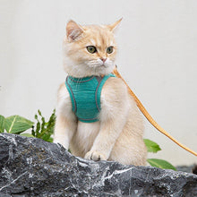 Load image into Gallery viewer, Cat Sitting in Mochi Cat Harness | MissyMoMo
