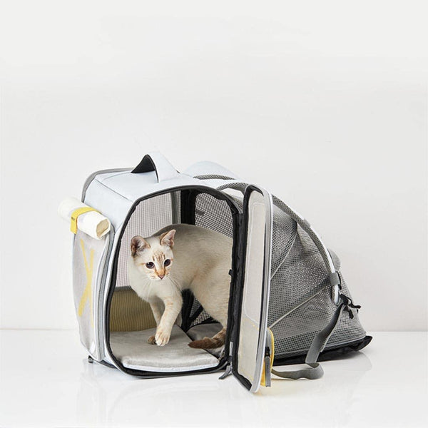 Cat in Fold-Out Compartment of Expandable Backpack | MissyMoMo