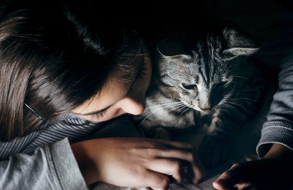 Socializing Your Cat with People | MissyMoMo