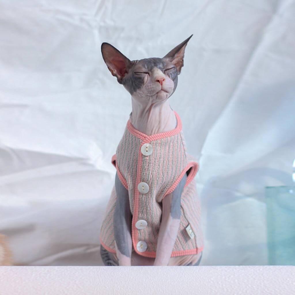 Catsby Cat Vest | Sphynx Cat with Clothes | MissyMoMo