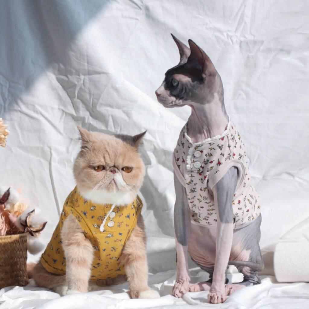 Daisy Cat Vest | Cat with Clothes | MissyMoMo 