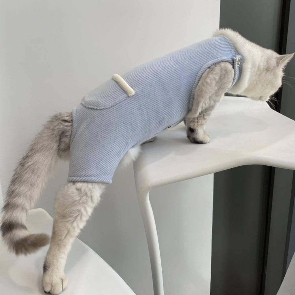 Neko Cat Dungarees | Cat with Clothes | MissyMoMo