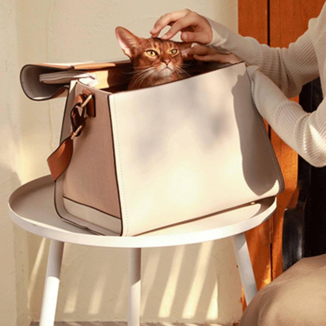 Voocoo Designer Cat Carrier | Stylish Cat Travel Carrier | MissyMoMo
