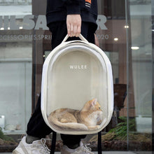 Load image into Gallery viewer, Wulee Clear Bubble Cat Backpack | Cat Bag for Travel | MissyMoMo