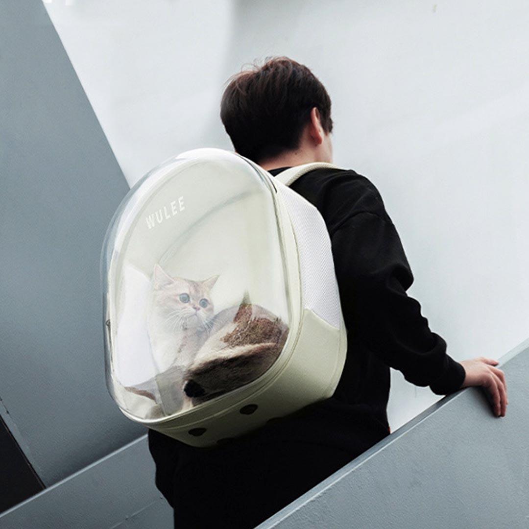 Wulee Clear Bubble Cat Backpack | Travel Carrier For Cats | MissyMoMo